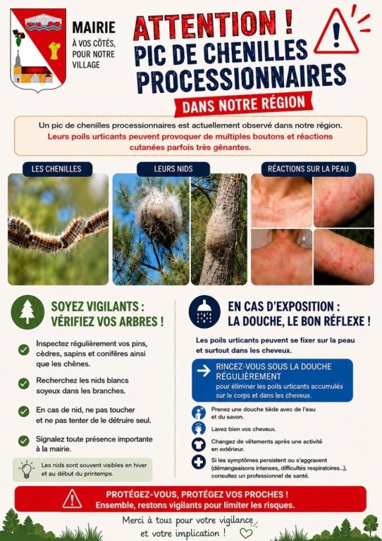 Attention! Chenilles processionnaires